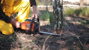Lawn Grading and Leveling in Lyford, TX